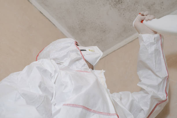 Best Mold Damage Repair  in Susquehanna Trails, PA
