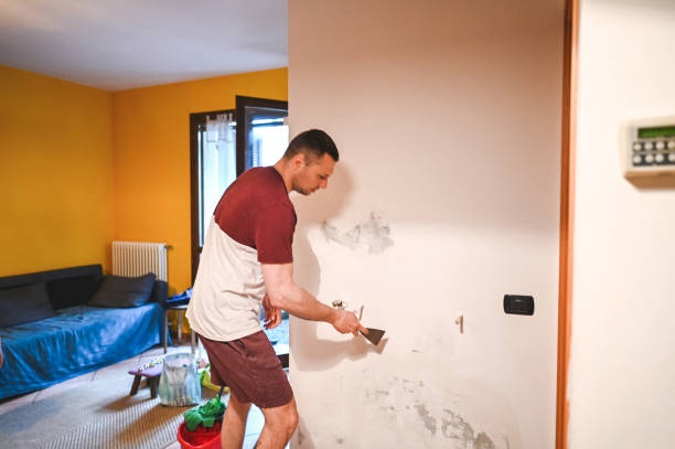 Best Toxic Mold Removal  in Susquehanna Trails, PA